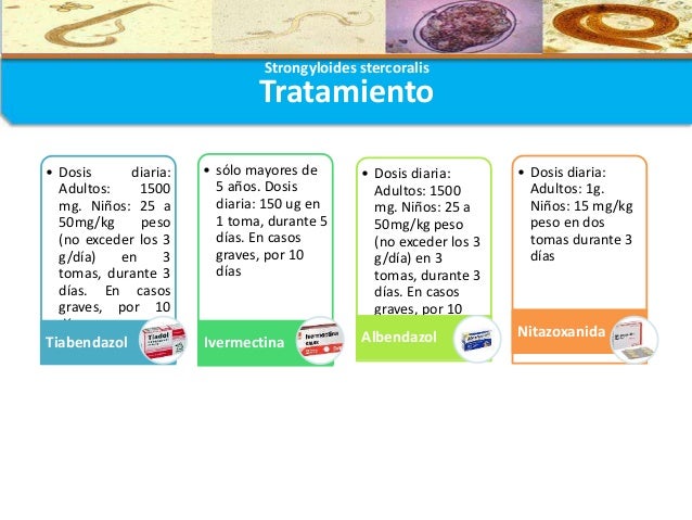 estrongiloidiasis tratamiento